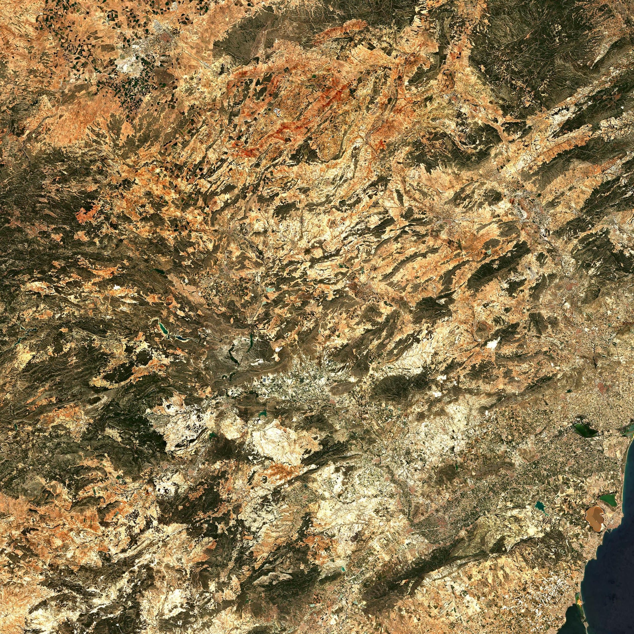 Jumilla