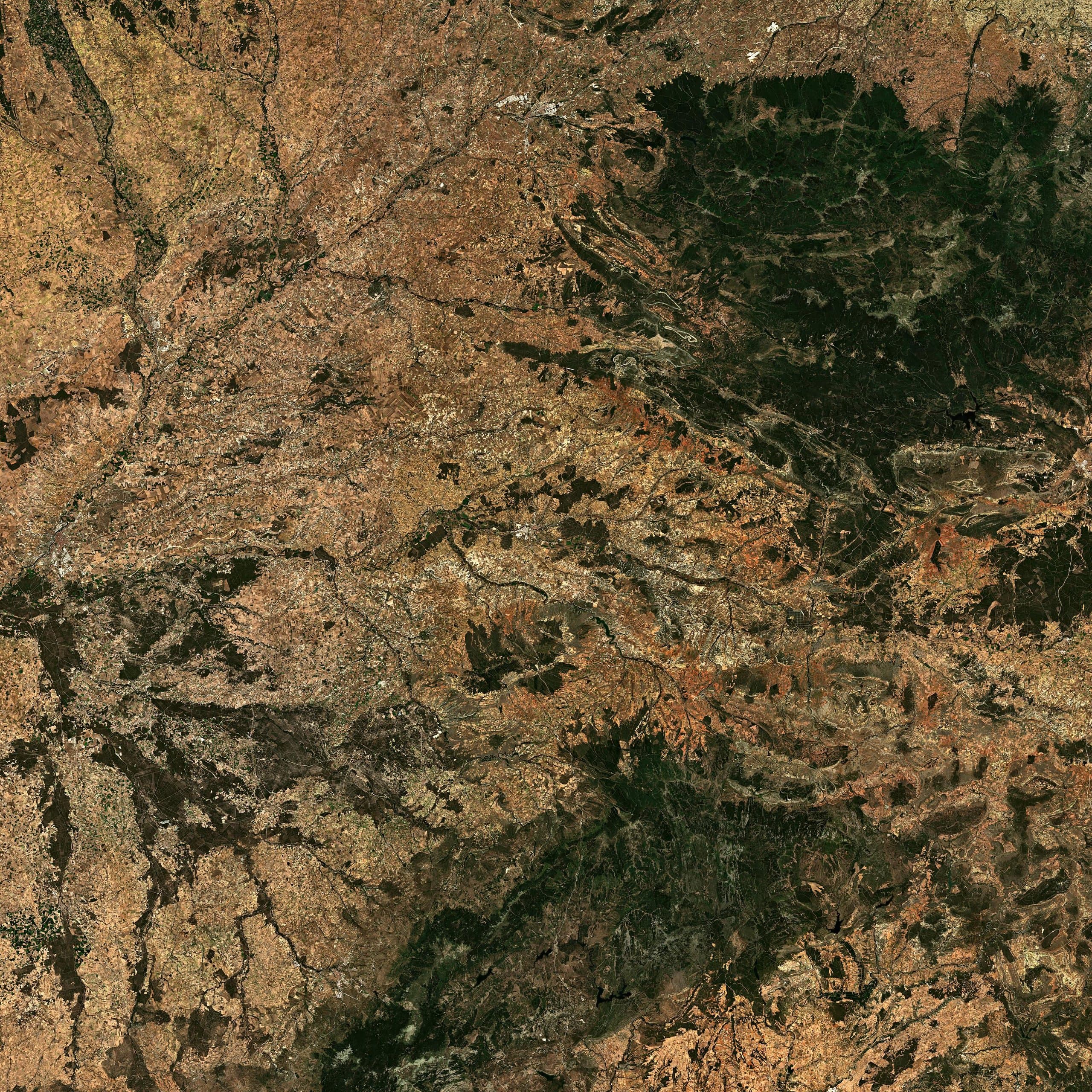 Ribera del Duero