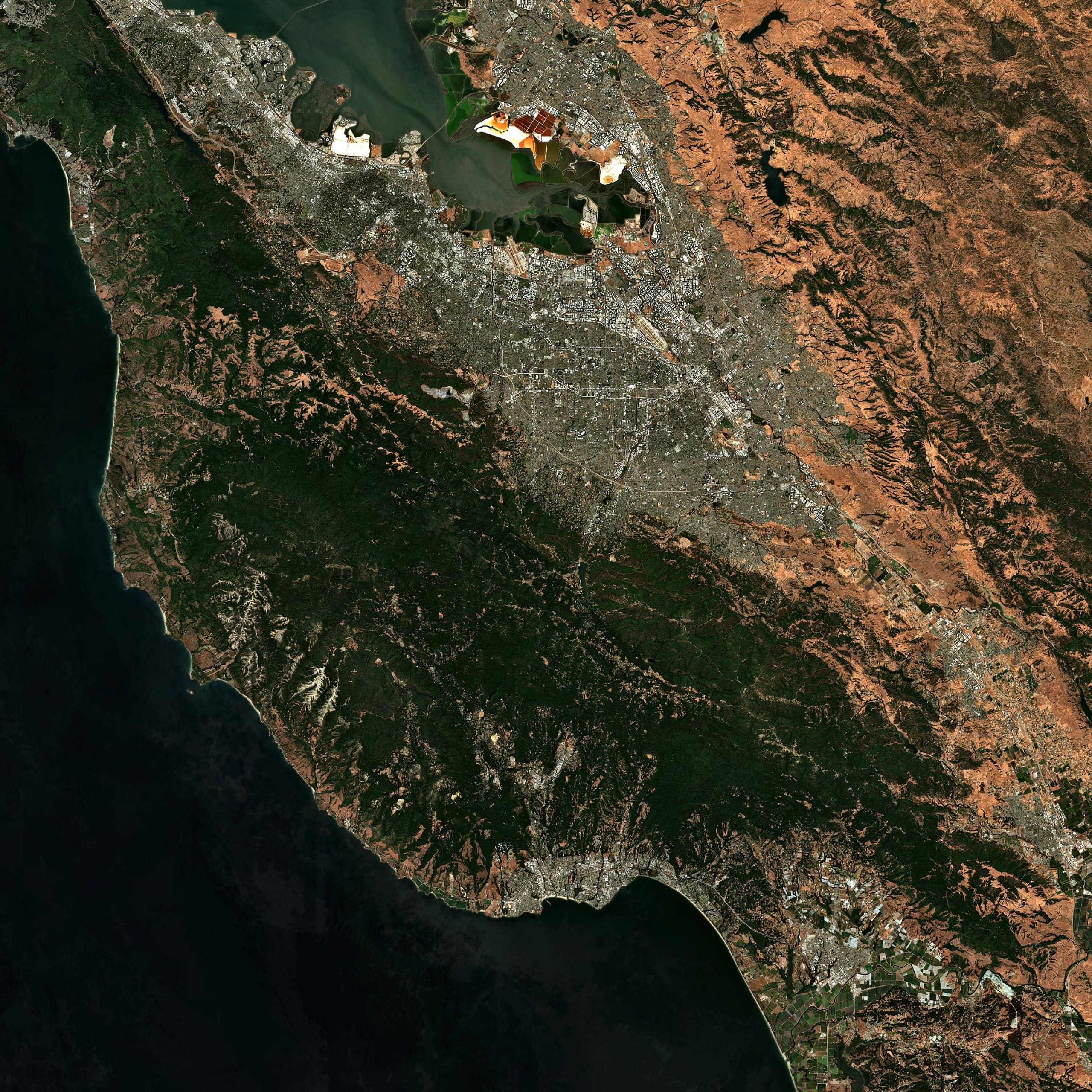 Santa Cruz Mountains