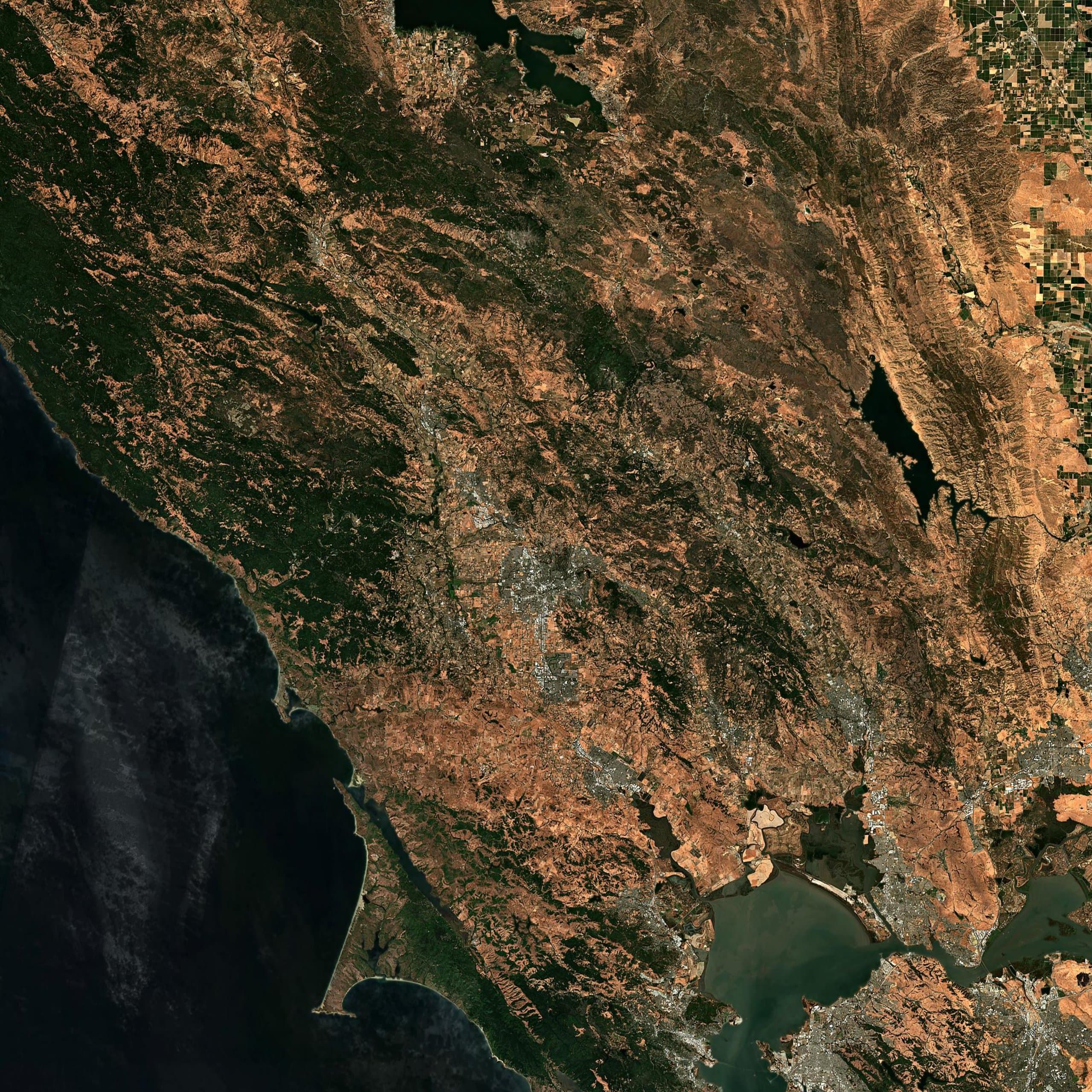 Sonoma Coast