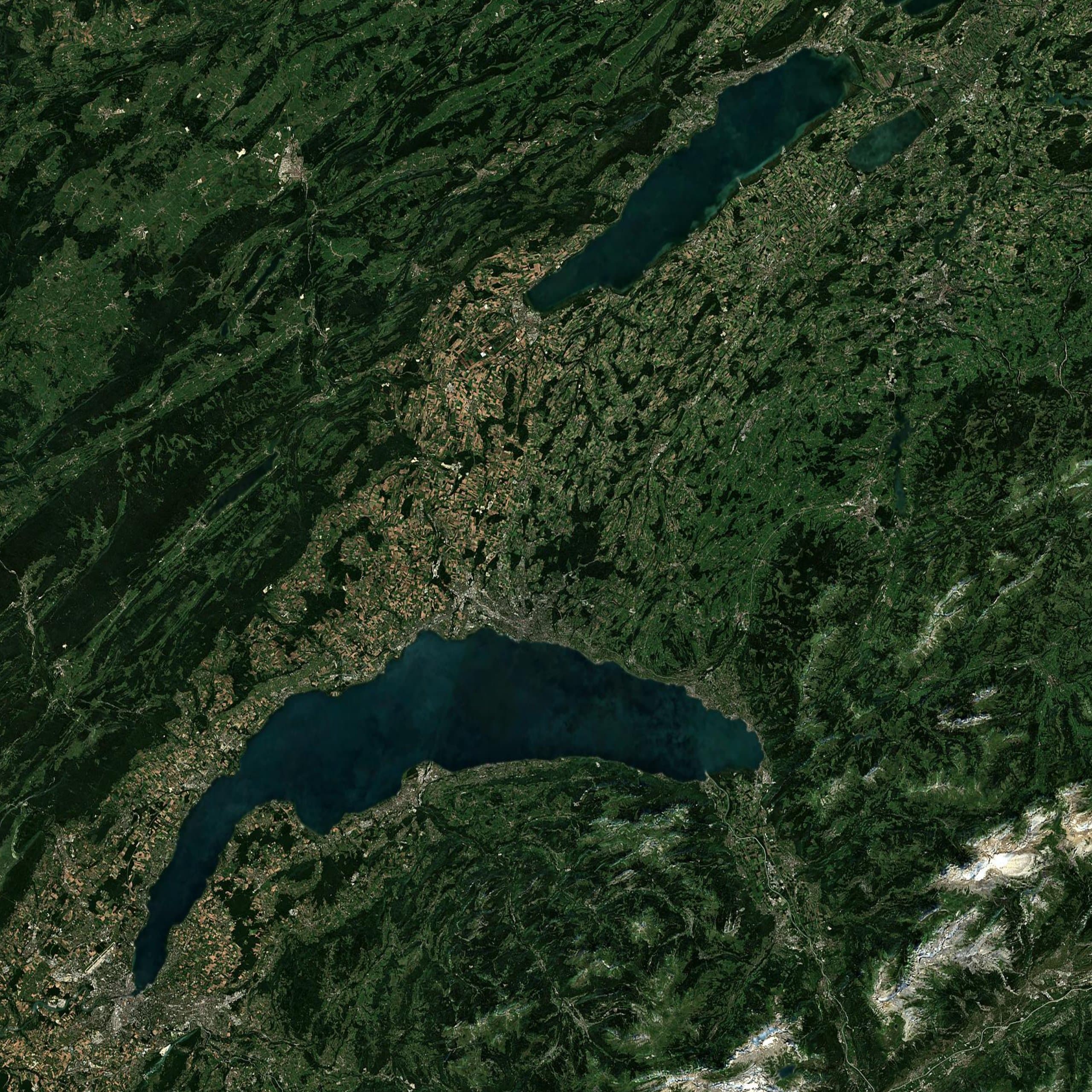 Vaud