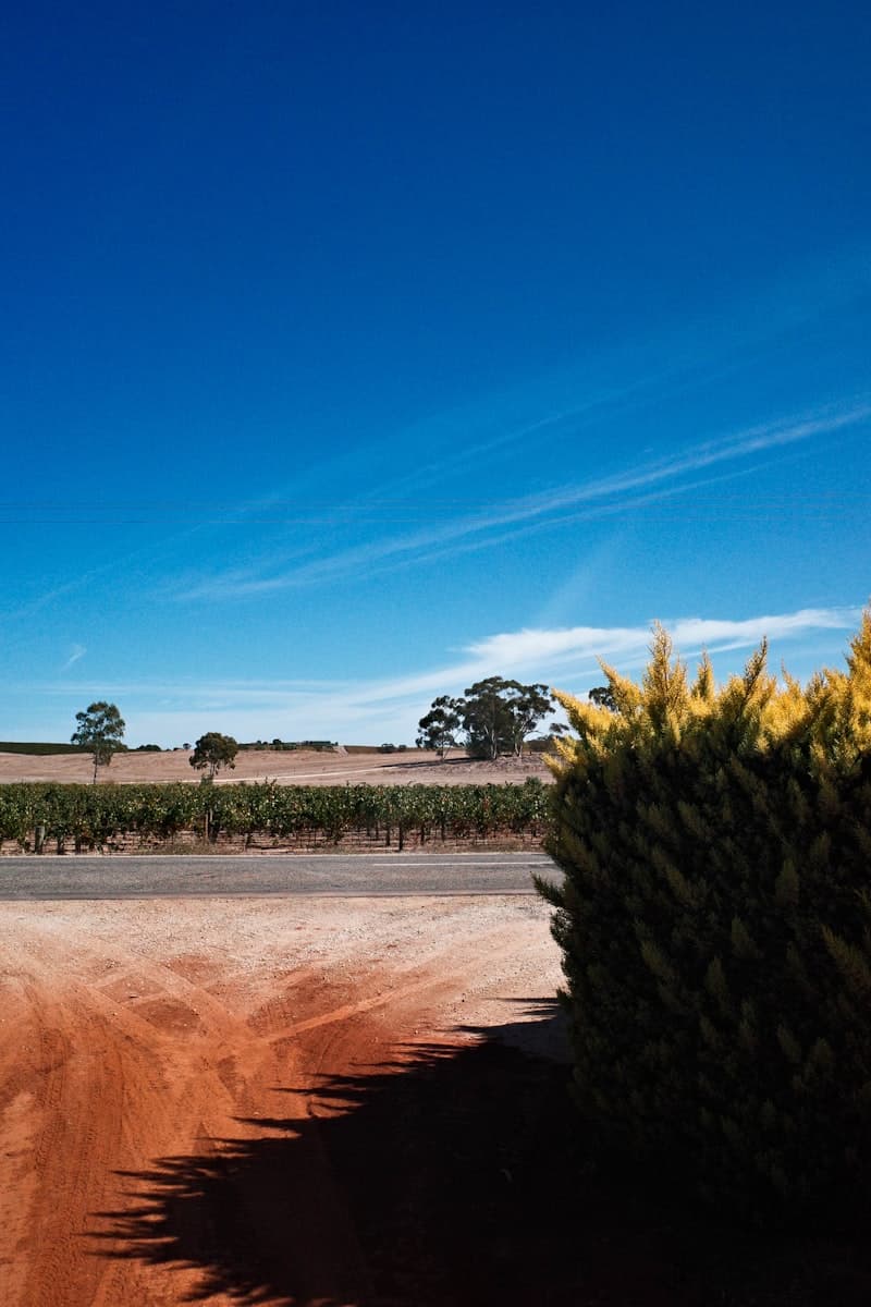 Barossa Valley