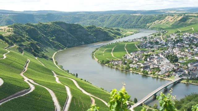 Mosel